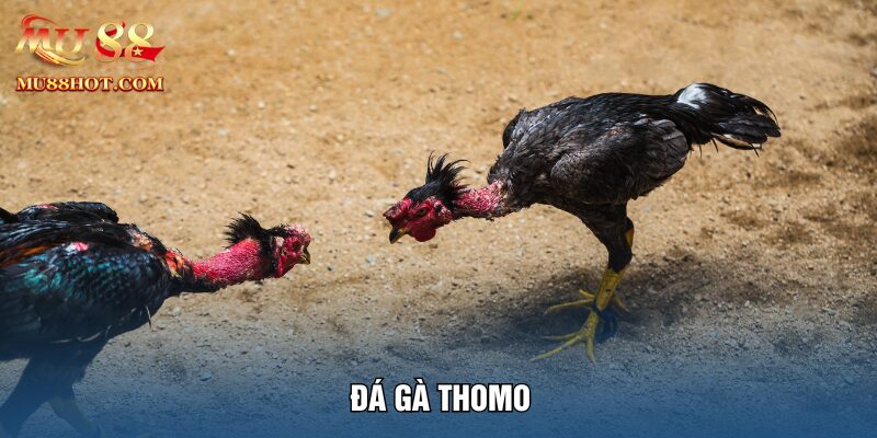 da-ga-thomo